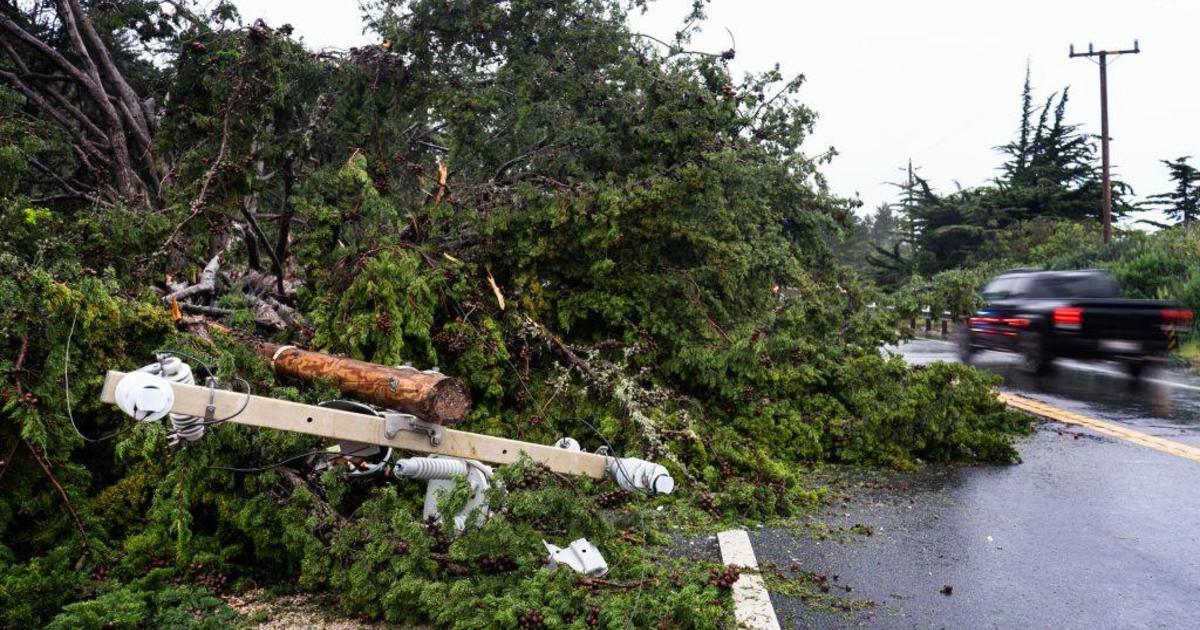 Storm Video: Trees falling due to high winds across the region