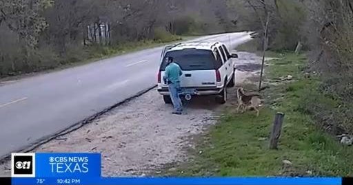 Man charged with animal cruelty for allegedly dumping dog on Dallas ...