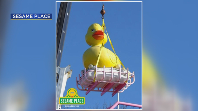 23vo-sesame-place-rubber-duck-vote-transfer-frame-789.png 