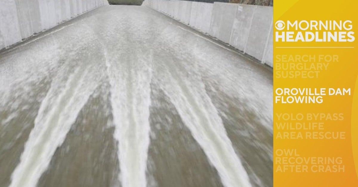 Morning headlines - 03/13/2023