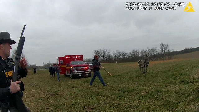 Ohio zebra attack body camera footage 