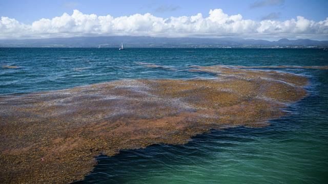 FRANCE-OVERSEAS-ENVIRONMENT-NATURE-POLLUTION 