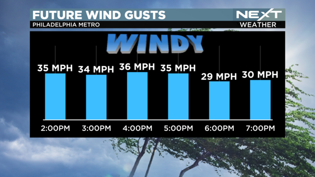 bar-graph-wind-gusts-hourly-1.png 