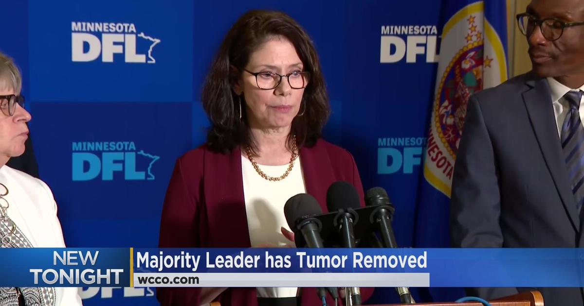 Kari Dziedzic, Minnesota Senate majority leader, announces she has