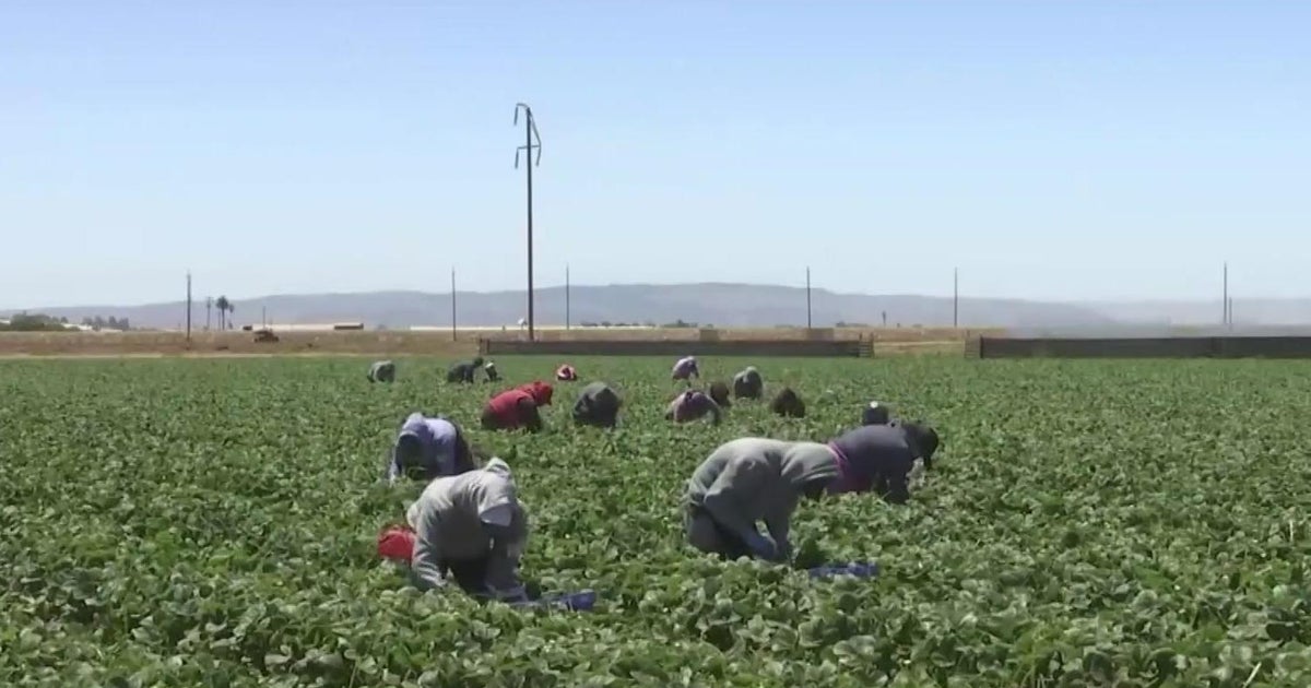 California storms are impacting the local grocery stores