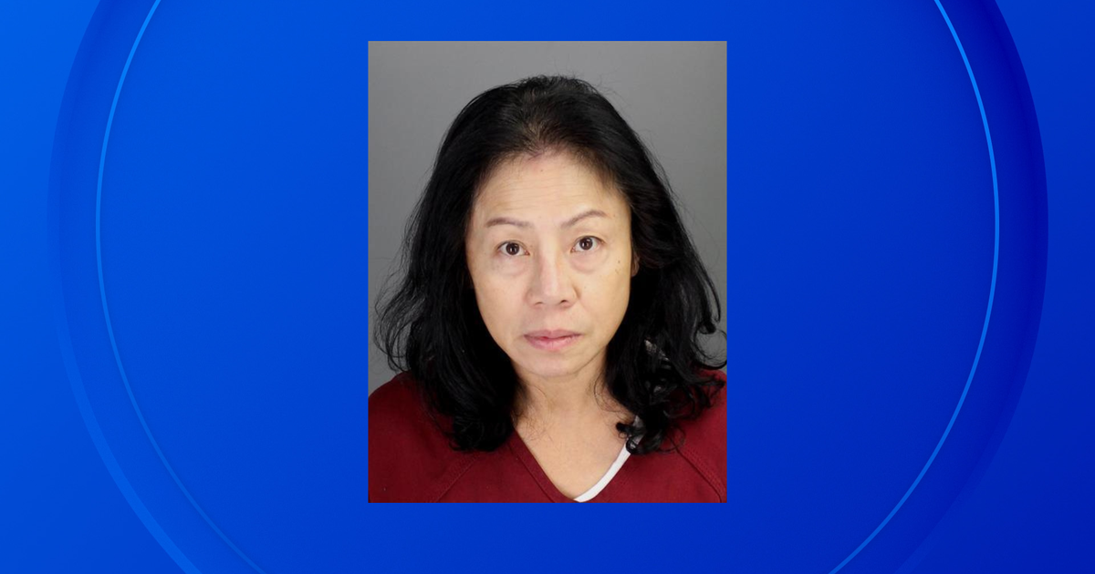 Woman accused in fatal Oakland County New Year's Day hit-and-run held on $1 million bond - Vimarsana News