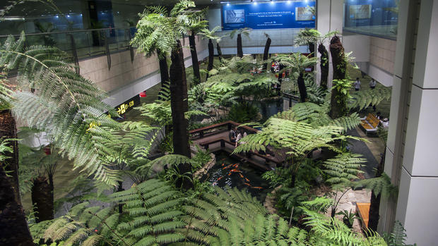 Fernery and fish ponds Singapore Changi airport 