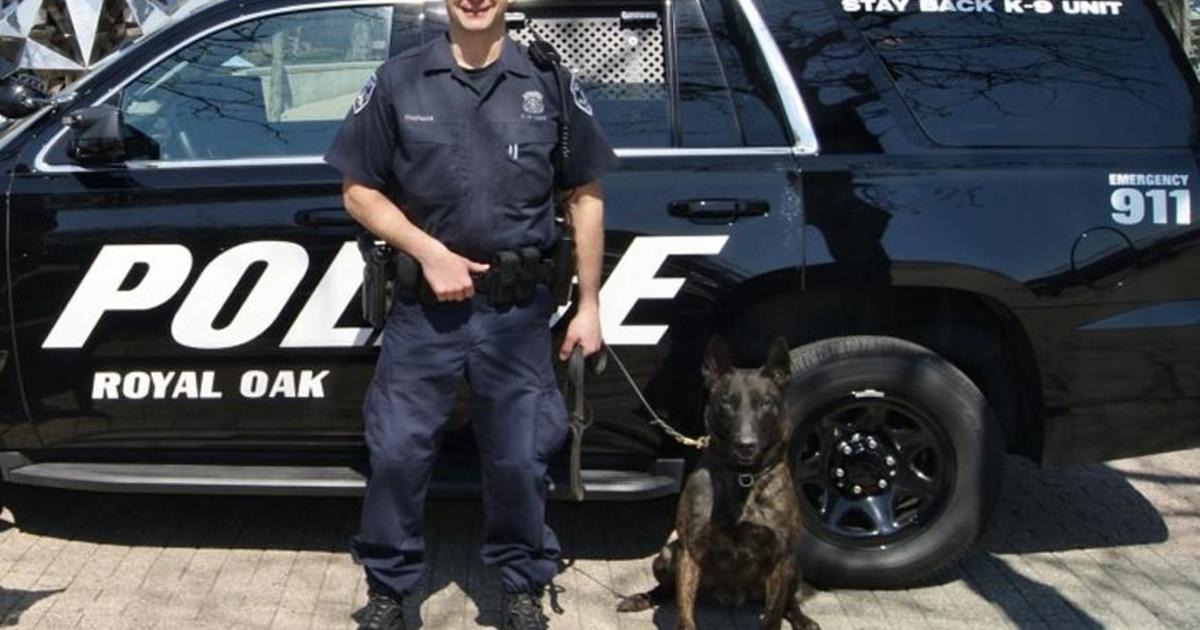 Royal Oak Police Announce Death Of Retired K9 Officer - CBS Detroit