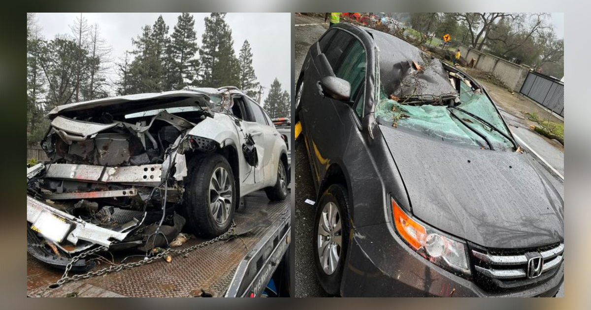 Tree falls, crushing 2 vehicles in Granite Bay and injuring drivers