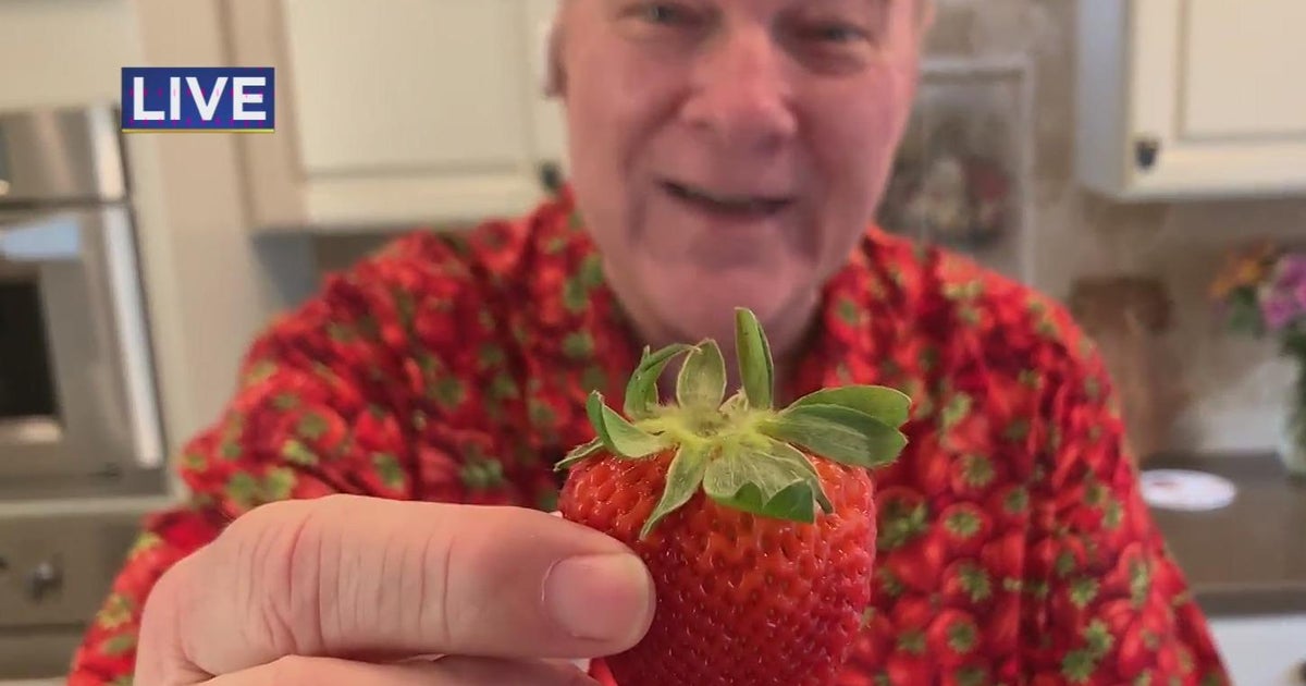 Lunch break: 3 things of spring