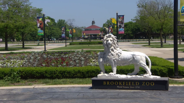 brookfield-zoo.png 