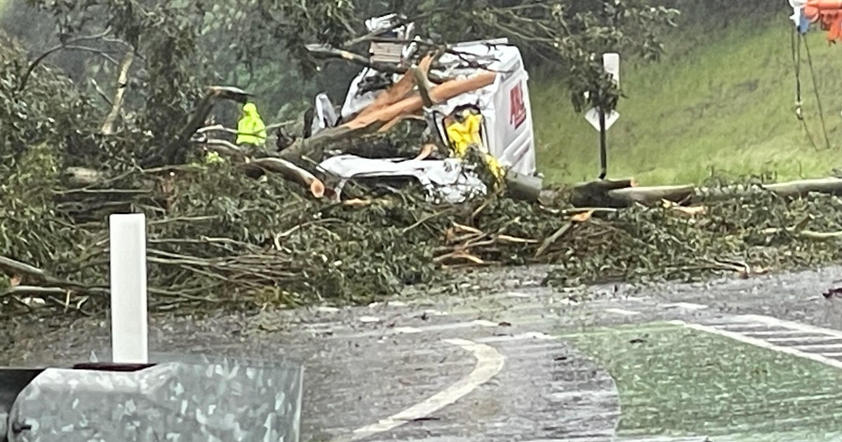 Van driver killed by toppled tree in Portola Valley CBS San Francisco