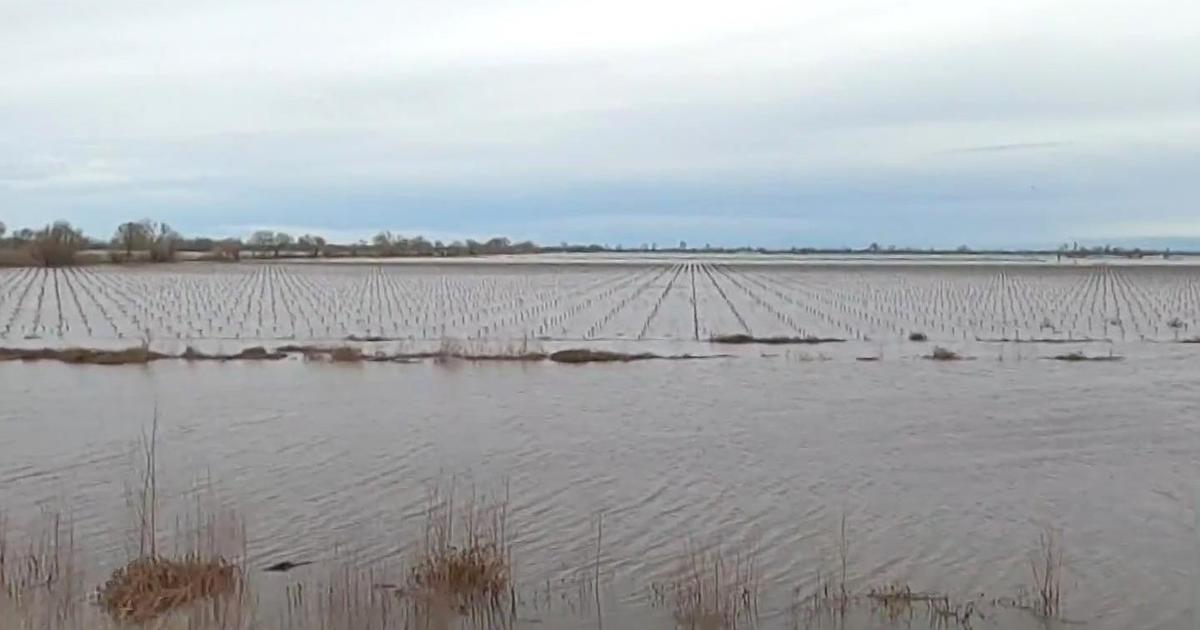 Rain washing out California farms will mean higher prices in the grocery store