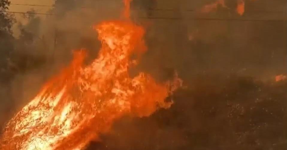 Communities across California receive federal funding to reduce wildfire risk