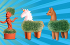 chia-pets-header.png 