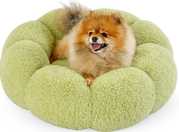 lesure-calming-flower-dog-bed.png 