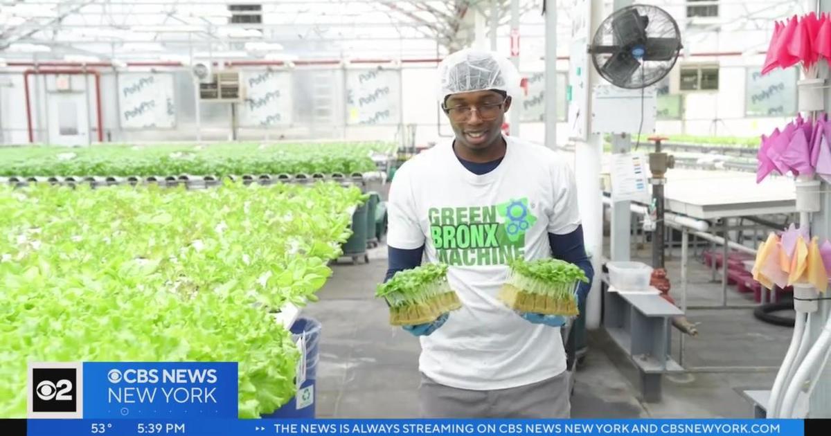 Tour Gotham Greens, an Urban Rooftop Farm in Brooklyn