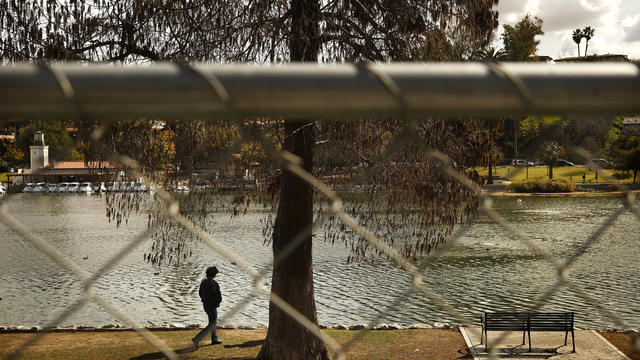 Echo Park Lake, Hugo Soto-Martinez, fences. 
