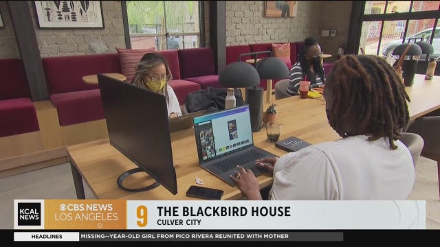 the-blackbird-house-culver-city.jpg 