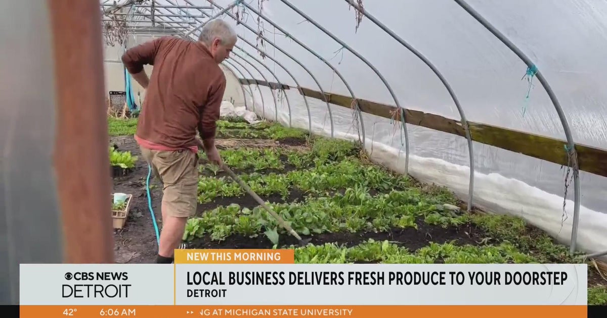 Detroit business delivers fresh produce to your doorstep CBS Detroit