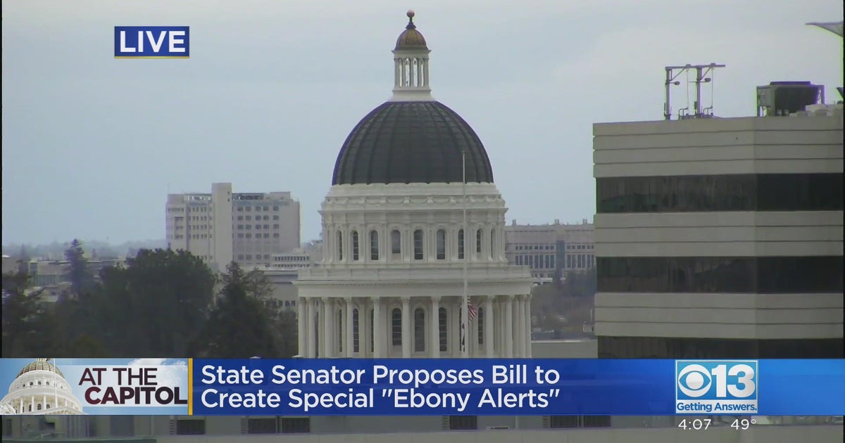 State senator proposes bill to create special ebony alerts