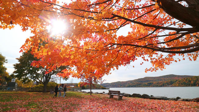Fall Foliage in New York State 