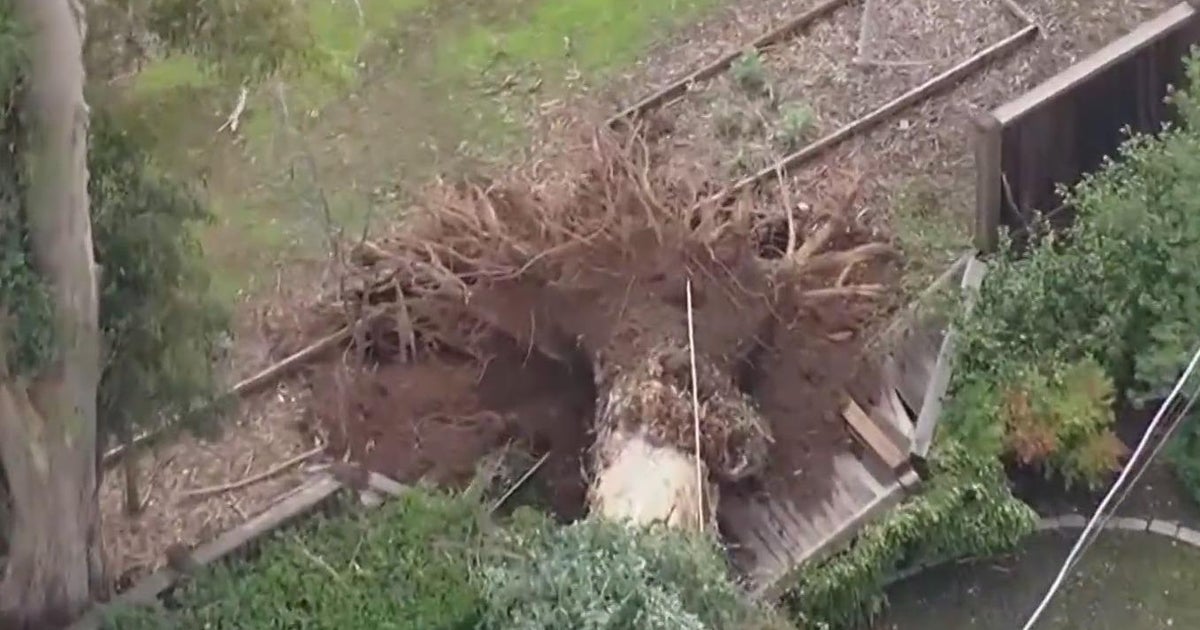 Rainbattered Saratoga declares a state of emergency during latest week