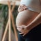 What is cytomegalovirus, the leading infectious cause of birth defects?