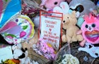 Nashville School Shooting 