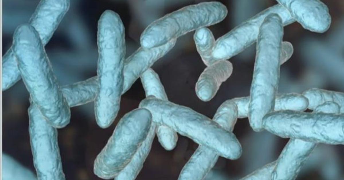 Studies find some probiotics can be harmful to gut health - CBS News