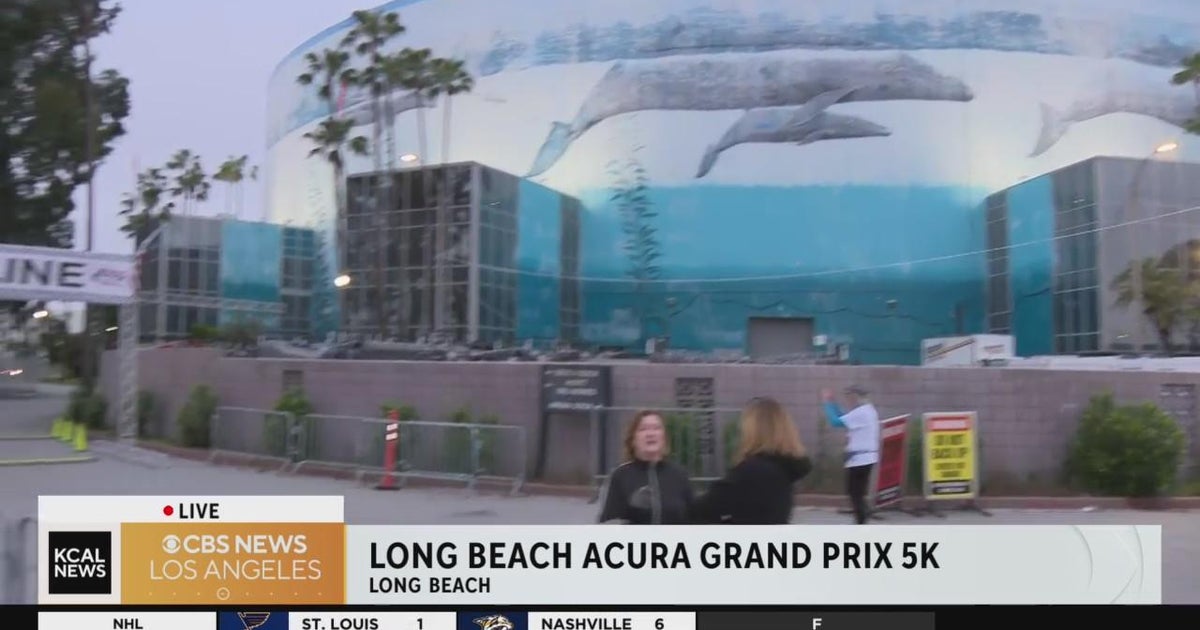 thousands-lace-up-for-long-beach-acura-grand-prix-5k-cbs-los-angeles