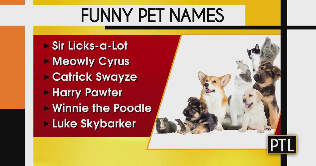 Funny pet names CBS Pittsburgh