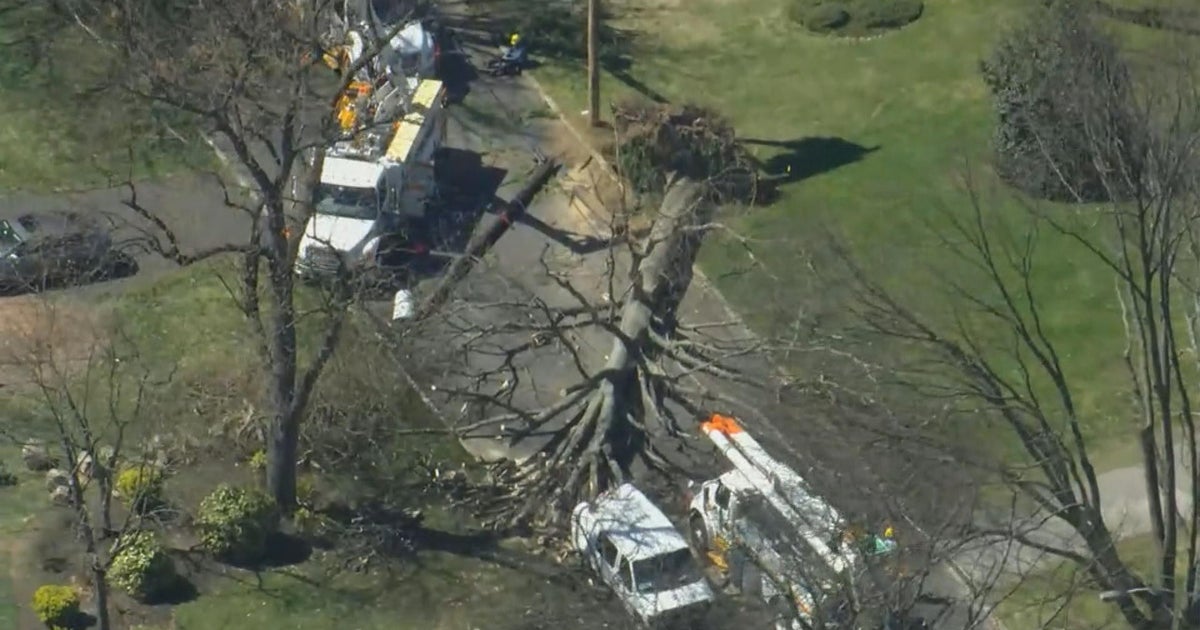 Cleanup continues in NJ, Pa. and Delaware following 8 tornadoes - CBS ...