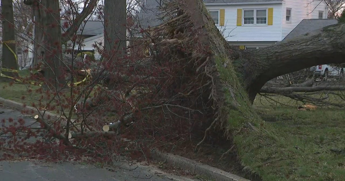 9 tornadoes occurred in New Jersey, Pennsylvania and Delaware NWS