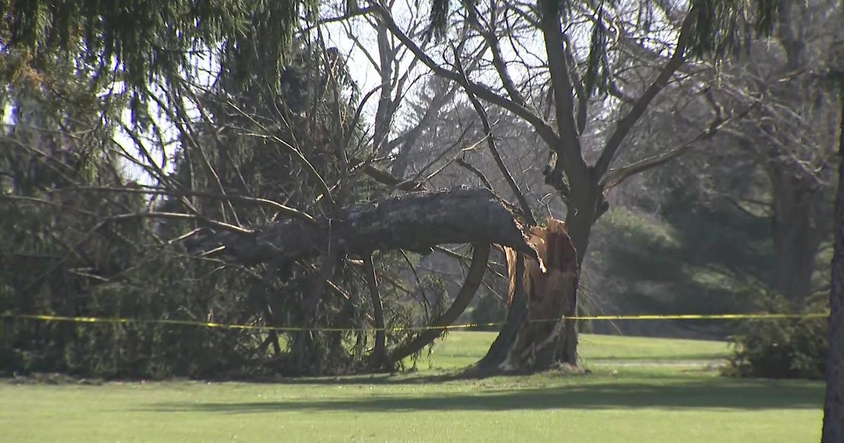 National Weather Service confirms at least 7 tornadoes touched down in ...