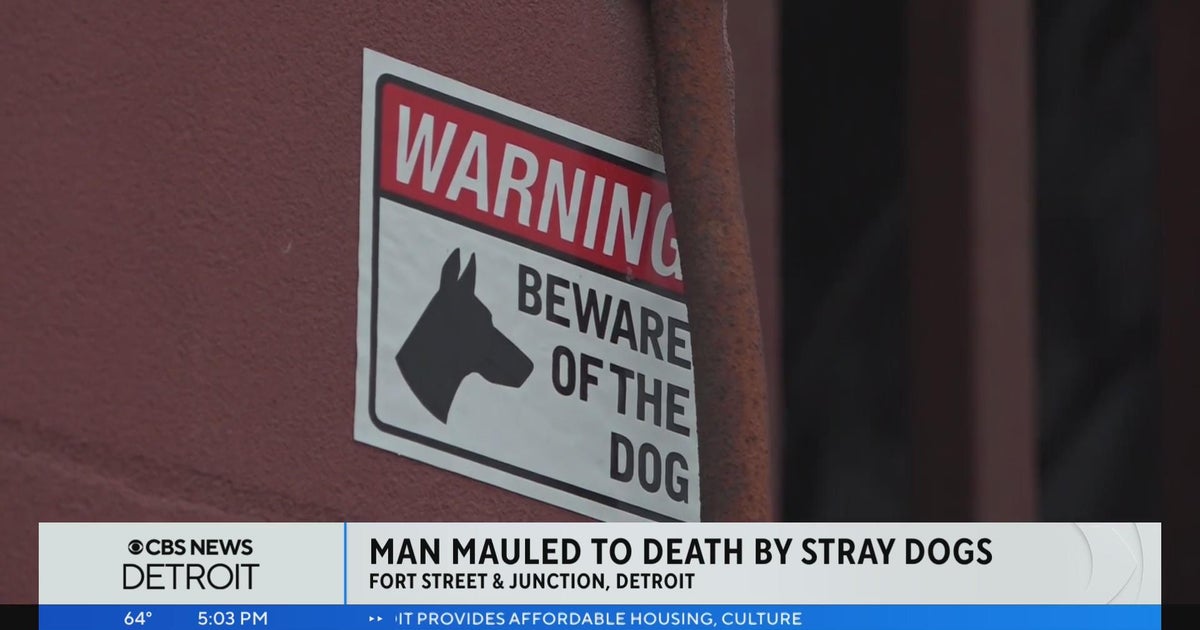 Man mauled to death in Southwest Detroit - CBS Detroit
