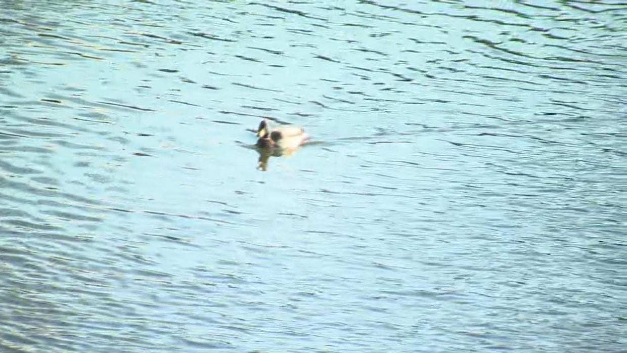 Delaware riverkeeper wants accountability, answers after chemical spill ...