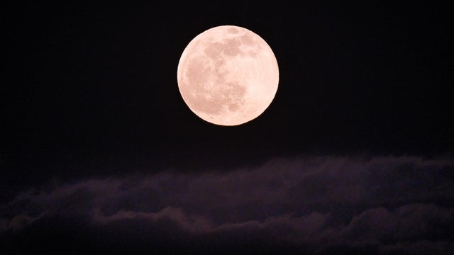 Pink Moon - Toulouse, France - 16 Apr 2022 