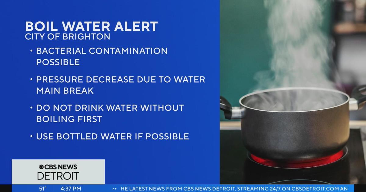 Brighton issues boil water advisory due to water main break - CBS 