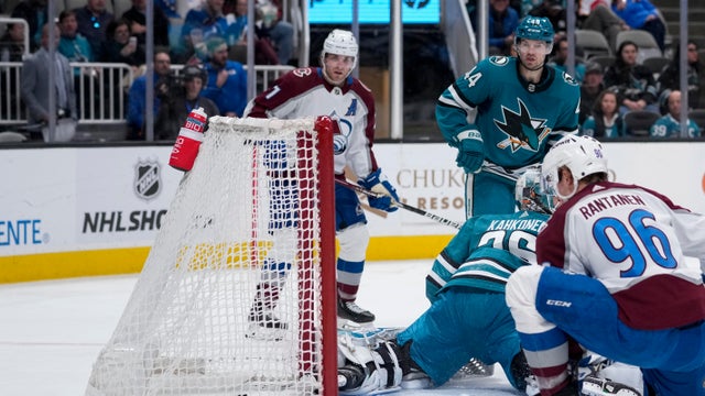 Avalanche Sharks Hockey 