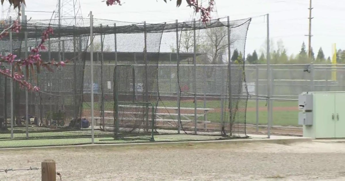 Roseville active shooting suspect tripped on ball near batting cages
