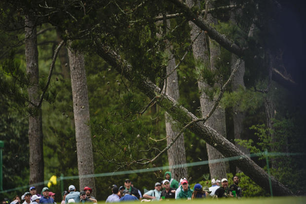Patrons move away from trees that blew over during the Masters golf tournament on April 7, 2023, in Augusta, Ga. 