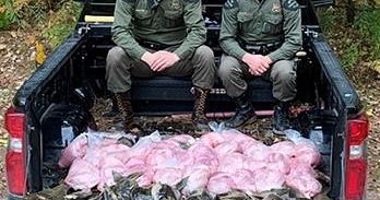 Colorado men caught poaching 463 pounds of salmon from Michigan river