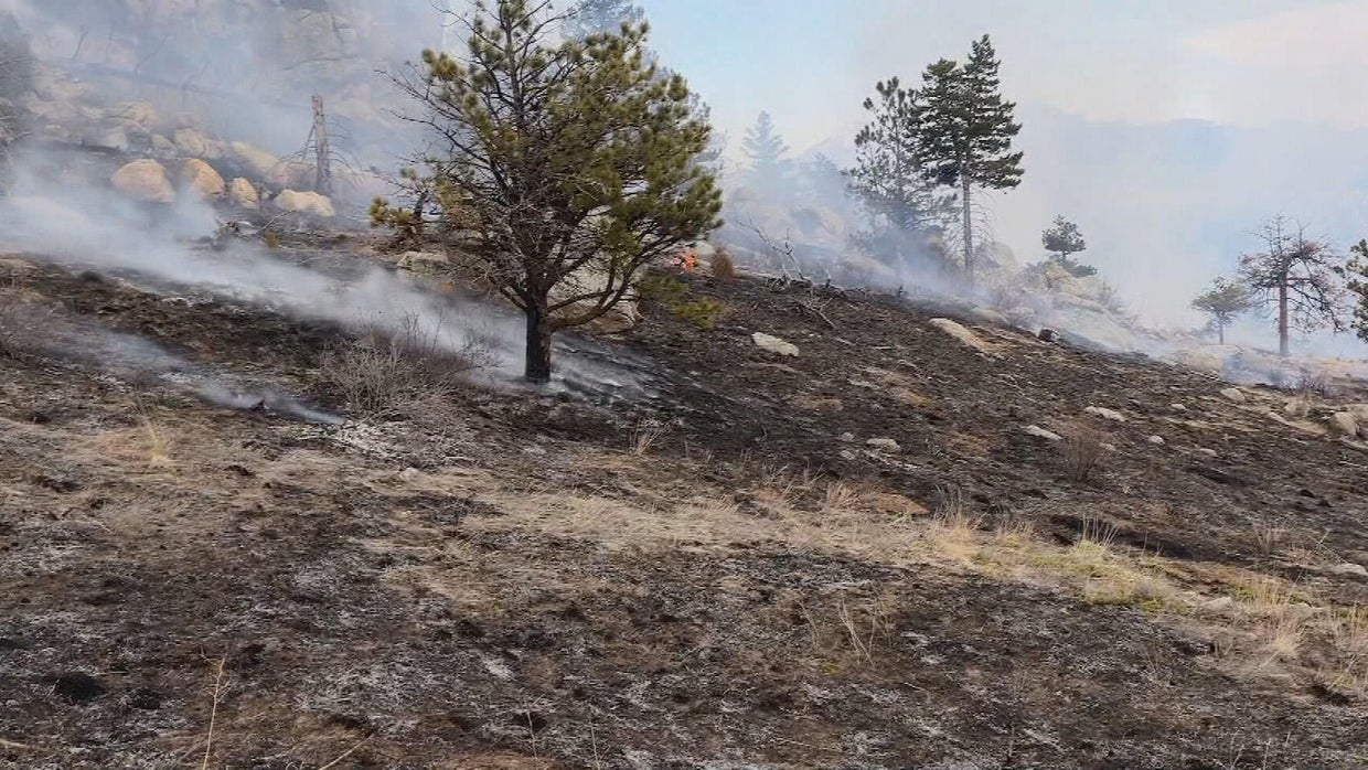 Wildfire experts break down fire mitigation efforts in Boulder County ...
