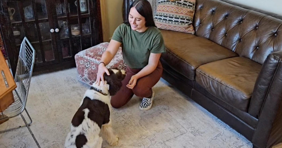 Afghanistan military dog reunited with handler