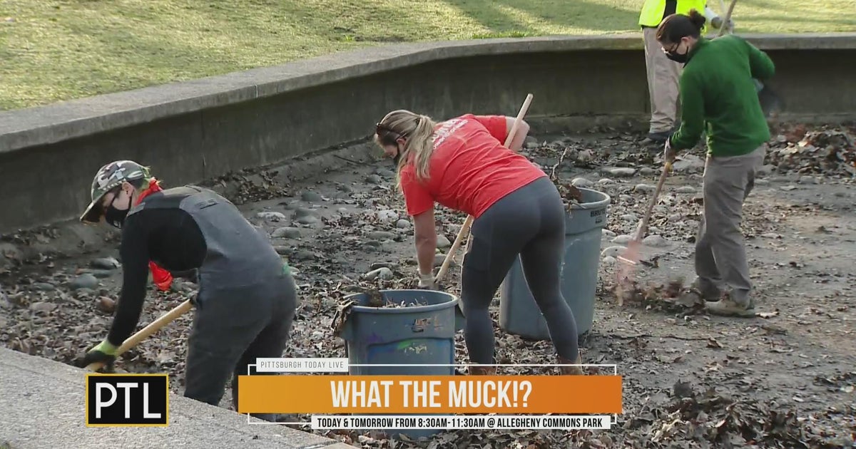 Mikey is asking What The Muck? in Allegheny Commons Park CBS Pittsburgh