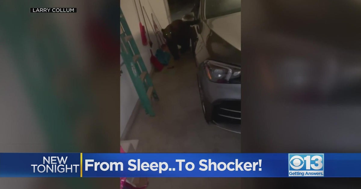 Bear intruder startles Arnold couple: He definitely could have done some damage