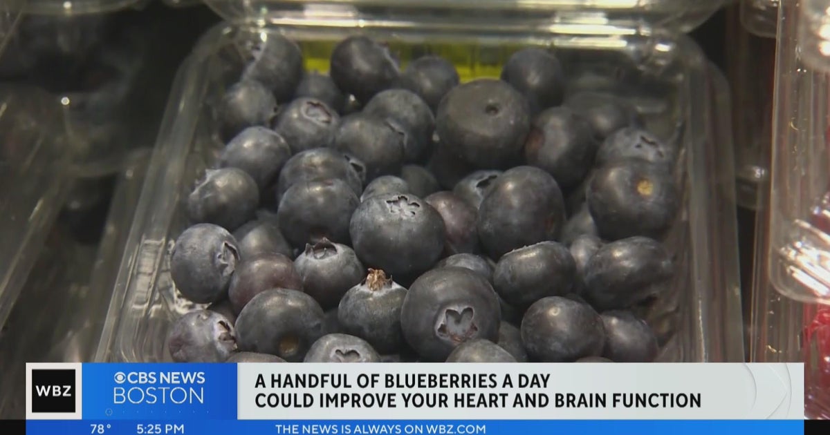 Blueberries could improve brain and heart function CBS Boston