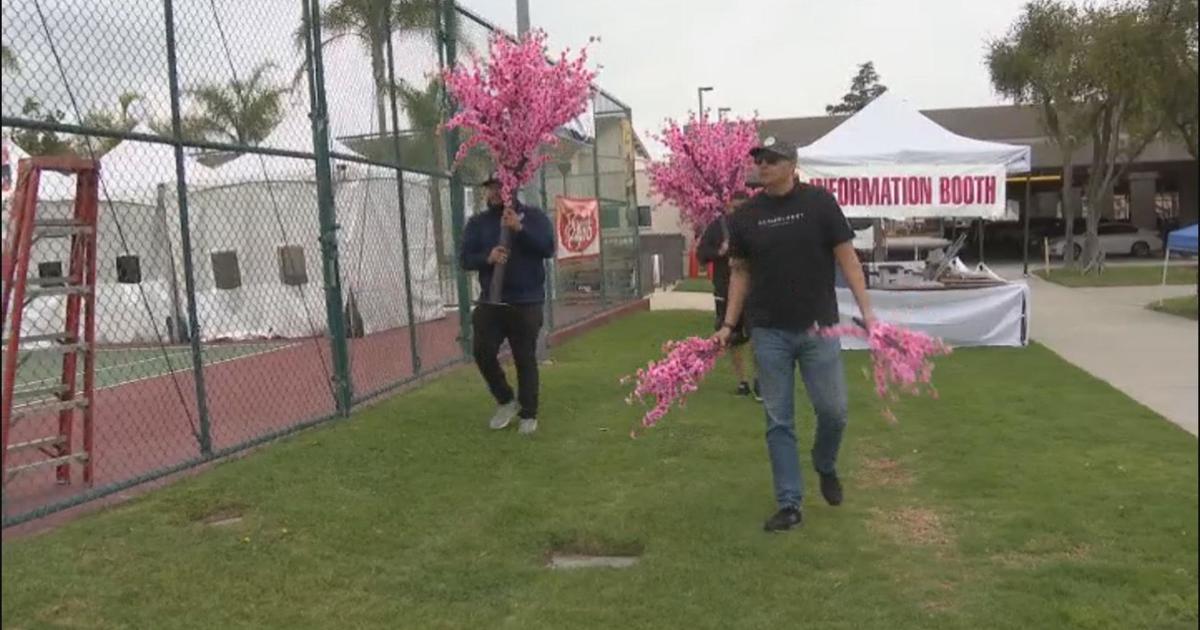 Monterey Park back annual Cherry Blossom Festival CBS Los