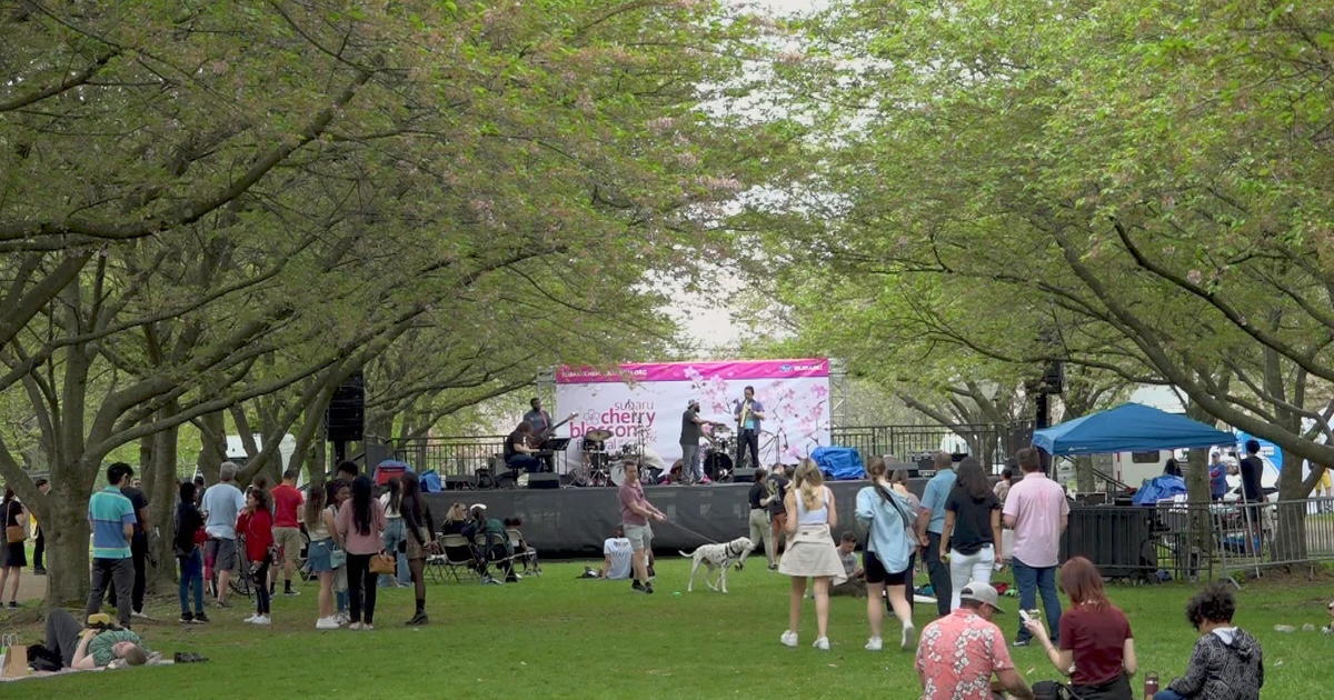 Thousands enjoy Cherry Blossom Festival at Fairmount Park CBS